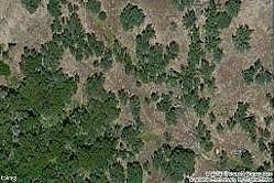 Larkspur, Tollhouse, CA 93667 