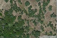 Larkspur, Tollhouse, CA 93667 