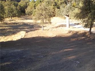 2967 Bald Mtn Rd, West Point, CA 95255 