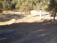 2967 Bald Mtn Rd, West Point, CA 95255 