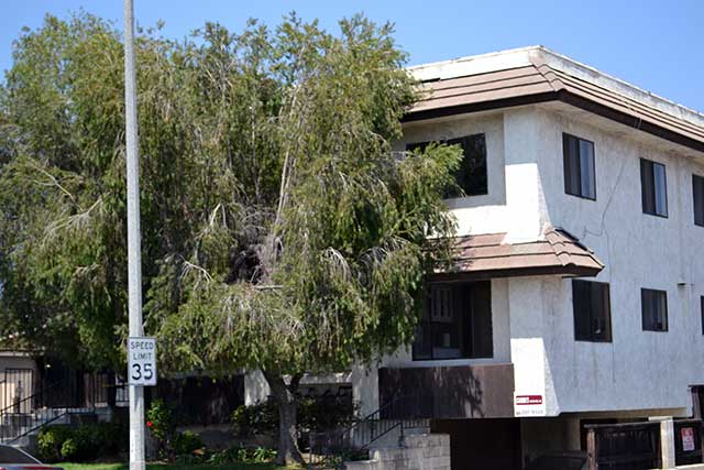 612 N Garfield Ave, #1, Alhambra, CA 91801 