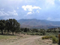 246 Patricia Lane, Coleville, CA 91607 