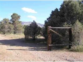 346 Patricia Lane, Coleville, CA 91607 