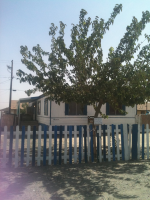 416 E 9th St, Kettleman City, CA 93239 