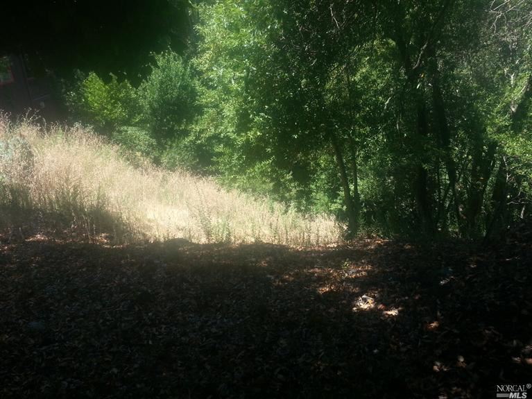 356 Redwood Rd, San Anselmo, CA 94960 