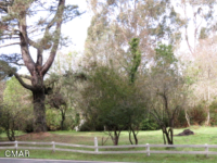 24585 Ward Ave, Fort Bragg, CA 95437 