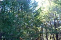 0 Ruth Dam Road, Ruth Lake, CA 95526 