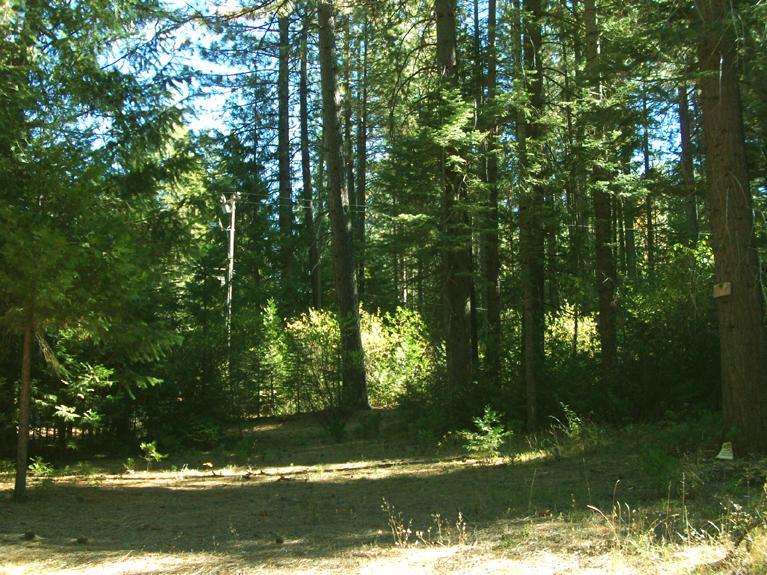 14 Kirkwood Way, Clipper Mills, CA 95930 