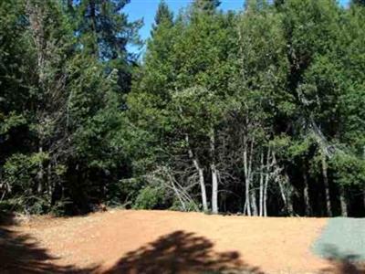 11157 Breezy Blvd, Clipper Mills, CA 95930 