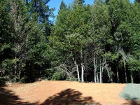 11157 Breezy Blvd, Clipper Mills, CA 95930 