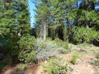 90 River Bend Way, Hamilton Branch, CA 96137 