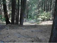 606 Pine Canyon Road, Lake Almanor, CA 96137 