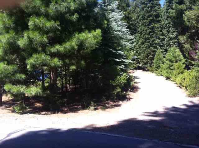 1133 Lake Ridge Road, Lake Almanor, CA 96137 