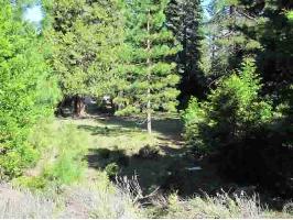 906 CLIFFORD DRIVE, Lake Almanor, CA 96137 