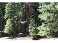 667 E Mountain Ridge Road, Westwood, CA 96137 