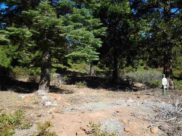 43 Foxdale Court, Lake Almanor, CA 96137 