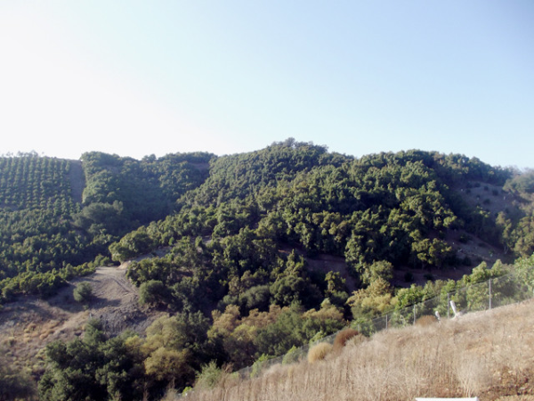 0 Via Vaquero, Temecula, CA 92590 