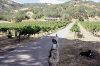 2200 McNab Ranch Rd, Ukiah, CA 95482 