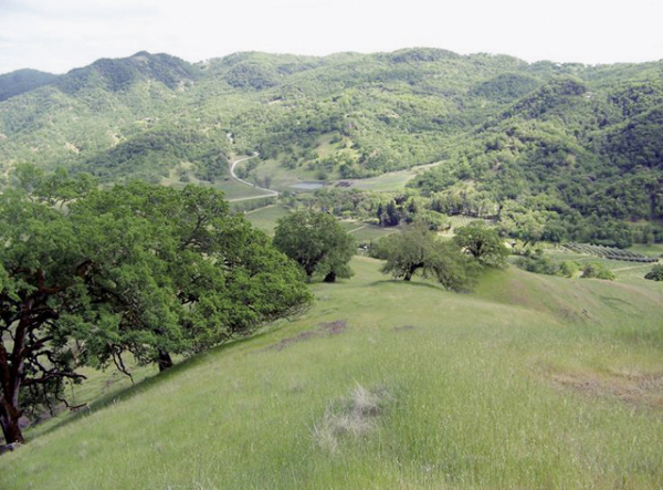 2300 Chimpay, Ukiah, CA 95482 