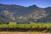 5640 Silverado Trl, Napa, CA 94558 