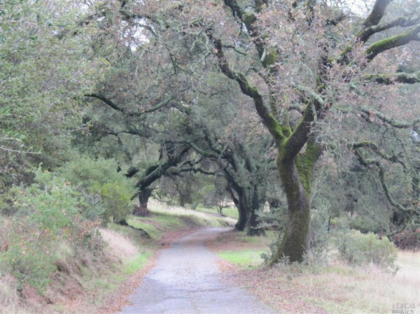 4721 Green Valley Ln, Fairfield, CA 94534 