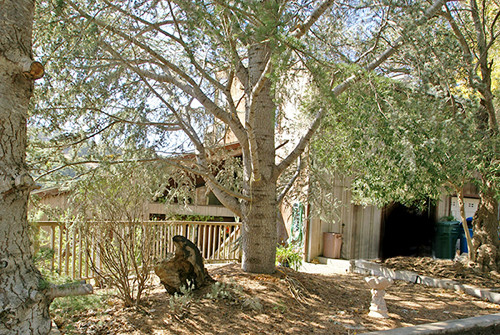 2827 Alhambra Drive, Belmont, CA 94002 