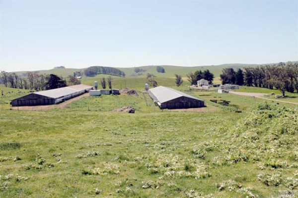 2570 Whitaker Bluff Rd, Petaluma, CA 94952 