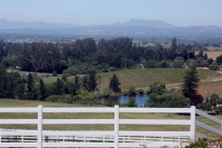 6430 Orchard Station Rd, Sebastopol, CA 95472 