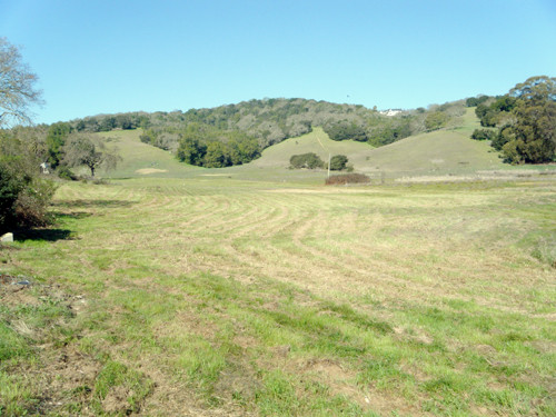 300 Olive Ave, Novato, CA 94945 