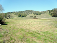 300 Olive Ave, Novato, CA 94945 