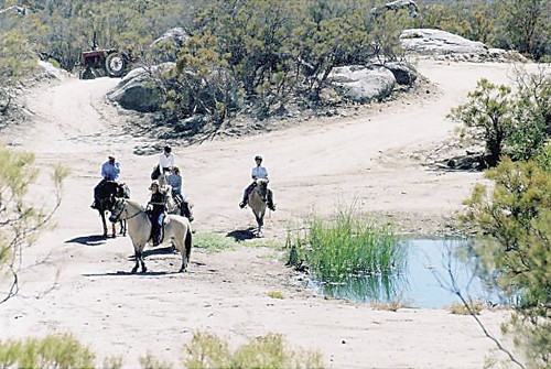 50900 Gold Rush Road, Anza, CA 50900 