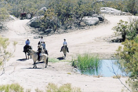 50900 Gold Rush Road, Anza, CA 50900 