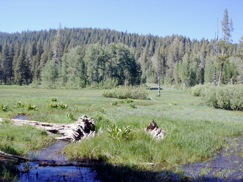 802 Fiberboard Road, Sierraville, CA 96126 