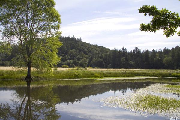 0 Silverado Trl, Saint Helena, CA 94574 