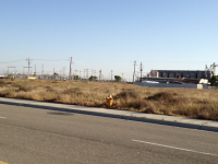 316 Prosperity Blvd, Chowchilla, CA 93610 