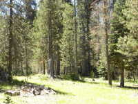 20 AC Grizzly Rd, Bass Lake, CA 93604 