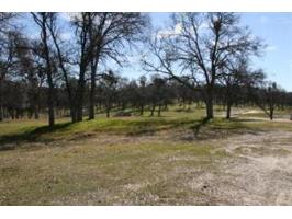 32268 Doodle Bug Lane # 6, Auberry, CA 93602 