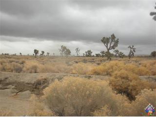 APN# 3029028025 Ave Q &amp; 148th St, Lake Los Angeles, CA 93590 