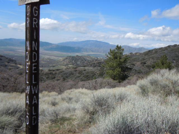 Grindelwald Dr, lot 142, Tehachapi, CA 93561 