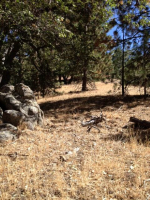 25920 Deertrail Dr, Tehachapi, CA 93561 