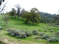 Mariposa Ave, lot 83, Tehachapi, CA 93561 