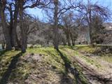 Alps Dr lot 221, Tehachapi, CA 93561 