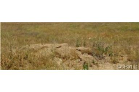 440 Hwy 371, Aguanga, Ca 92536 