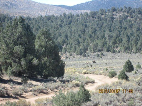 0 North Silverspur, Kennedy Meadows, CA 93555 