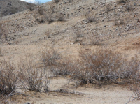 0 South Richmond St, Ridgecrest, CA 93555 