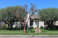 19549 Bassett St, Reseda, CA 91335 