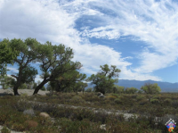 APN# 3080002027, Pearblossom, CA 93553 