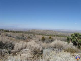 APN# 3039028043 Ewen Ave, Pearblossom, CA 93553 