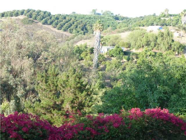 1586 Avohill Dr, Bonsall, CA 92084 