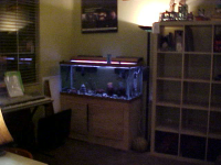 7136 Paseo Del Rio, Bell Gardens, CA 90201 